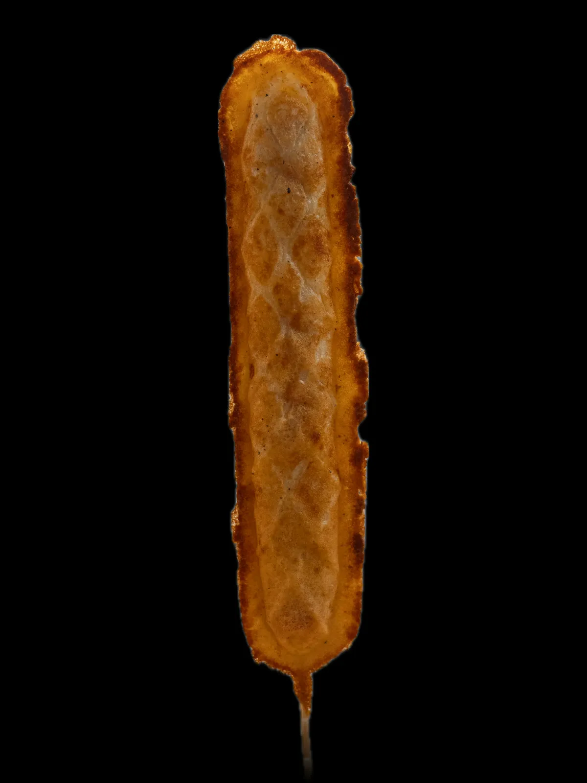 A long golden waffle on a stick with cheese baked inside